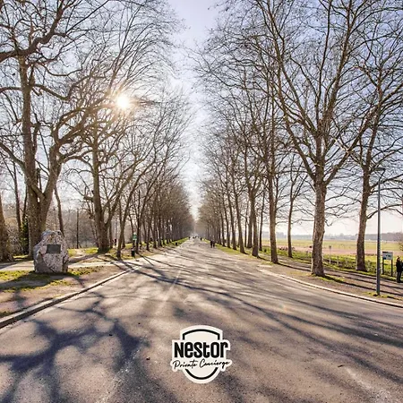 Casa Naranja — Bulle De Repit Tendance * Caen