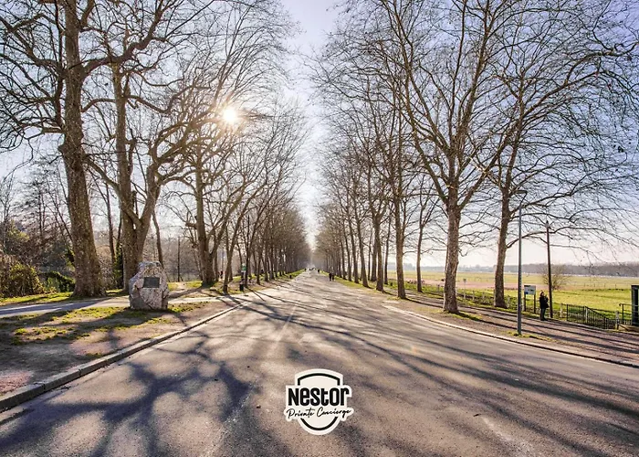 Casa Naranja — Bulle De Repit Tendance * Caen